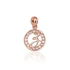 Diamond Sky Jewelry Auksinis raidės pakabukas su cirkoniais „Z“