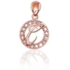 Diamond Sky Jewelry Auksinis raidės pakabukas su cirkoniais „C“