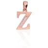 Diamond Sky Jewelry Auksinis raidės pakabukas su cirkoniais „Z III“