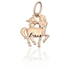 Diamond Sky Jewelry Auksinis zodiako ženklo pakabukas „Šaulys II“