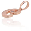 Diamond Sky Jewelry Auksinis raidės pakabukas su cirkoniais „C IV“