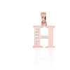 Diamond Sky Jewelry Auksinis raidės pakabukas su cirkoniais „H III“