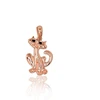 Diamond Sky Jewelry Auksinis pakabukas su cirkoniais „Katė V“