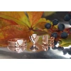 Diamond Sky Jewelry Auksiniai auskarai su deimantais „Melisandra III“