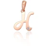 Diamond Sky Jewelry Auksinis raidės pakabukas su cirkoniais „H IV“