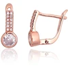 Diamond Sky Jewelry Sidabriniai auskarai su cirkoniais „Colonnade“