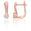 Diamond Sky Jewelry Sidabriniai auskarai su cirkoniais „Akmeninė Gėlė VII“