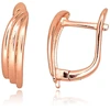 Diamond Sky Jewelry Sidabriniai auskarai „Morning Dew III“