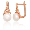 Diamond Sky Jewelry Sidabriniai auskarai su cirkoniais ir perlais „Fabiola“