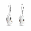 Diamond Sky Jewelry Sidabriniai auskarai „Hyperborea“ su Swarovski® kristalais