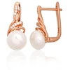 Diamond Sky Jewelry Sidabriniai auskarai su cirkoniais ir perlais „Fabiola“