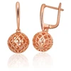 Diamond Sky Jewelry Sidabriniai auskarai „Mollie V“