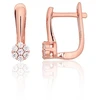 Diamond Sky Jewelry Sidabriniai auskarai su cirkoniais „Akmeninė Gėlė VII“