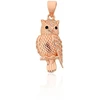 Diamond Sky Jewelry Sidabrinis pakabukas su cirkoniais „Owl II“