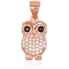 Diamond Sky Jewelry Sidabrinis pakabukas su cirkoniais „Owl V“