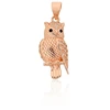 Diamond Sky Jewelry Sidabrinis pakabukas su cirkoniais „Owl II“