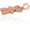 Diamond Sky Jewelry Vaikiškas sidabrinis pakabukas su cirkoniais „Cub“