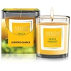 Areon Aromatinė žvakė Dolce Viaggio 120 g