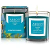 Areon Aromatinė žvakė Under the Mystic Tree 120g