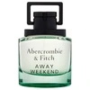 Abercrombie & Fitch Away Weekend EDT tualetinis vanduo vyrams, 50 ml