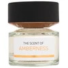 Bmw The Scent Of Amberness EDP parfumuotas vanduo vyrams, 100 ml