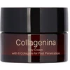 Collagenina Dieninis kremas su 6 kolageno tipais – 3 lygio dieninis kremas 50 ml
