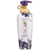 Daeng Gi Meo Ri Vitalizing Premium Treatment 500 ml