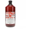 Davines Naturaltech energizuojantis šampūnas 1000ml