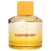 Hollister Canyon EDP 100 ml