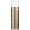 Inebrya Style-In Thermo Purškiklis For Heat Hairstyling purškiama priemonė karštam plaukų formavimui, 250 ml