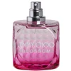 Jimmy Choo Jimmy Choo EDP 100 ml