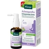 Kneipp Ashwagandha Relaxation Purškiklis 30 ml