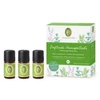 Primavera Aroma pirmosios pagalbos rinkinys 3 x 5 ml