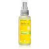 Saloos natūralus oro gaiviklis citrinų skonio, 50 ml