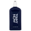 Tommy Hilfiger Tommy EDT 100 ml