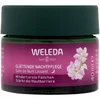 Weleda Wild Rose & Baltas Tea Smoothing Night Kreminis Night Skin Kreminis