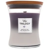 Woodwick Aromatinė žvakė (Trilogy Amethyst Sky), 275 g