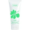 Ziaja Chestnut foot gel Leg Gel 100 ml
