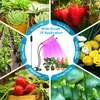LED augalų lempa, augalų auginimo lempa, lempa kambarinėms gėlėms, pilno spektro augalų šviestuvas, LED šviesa augalams, kambarinė augalų šviesa