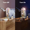 LED rožės gėlė, rožė stiklo kupole, dekoratyvinė balta rožė su švieselėmis, šviečianti rožė, rožė po stiklu, rožė kupole