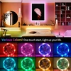 LED šviesos juosta 3 m, RGB USB LED juosta, LED virvutė, LED lemputių juosta, LED juostelė