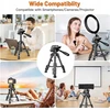 Mini fotoaparato trikojis 31–63 cm, reguliuojamas mini trikojis, mažas fotoaparato stovas