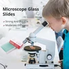 Šlifuotais kraštais objektiniai stikleliai mikroskopui, 50 vnt., 76,2x25,4 mm, stikliniai biologiniai objektiniai stikleliai, mikroskopo stikleliai, mikroskopiniai stikleliai