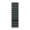 Apple 41mm Evergreen magnetinė jungtis – M/L