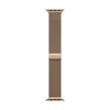 Apple 42 mm auksinė Milano kilpa