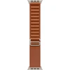 Apple Watch 49mm Terra Cotta Alpine Loop - Medium - Natural Titanium Finish - MFTC4ZM/A