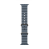 „Apple“ 49 mm „Anchor Blue Ocean Band“ – natūralaus titano apdaila