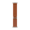 „Apple“ 49 mm terakotos spalvos „Alpine Loop“ laikrodis – vidutinio dydžio – natūralaus titano apdaila