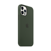 Apple iPhone 12, 12 Pro Silikoninis dėklas su MagSafe, Žalias (Cyprus Green)