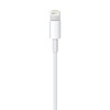 Apple iš Lightning į USB laidas (0.5 m) ME291ZM/A 